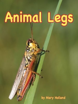 cover image of Animal Legs